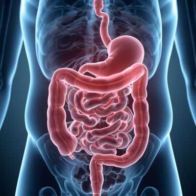 healthy digestion